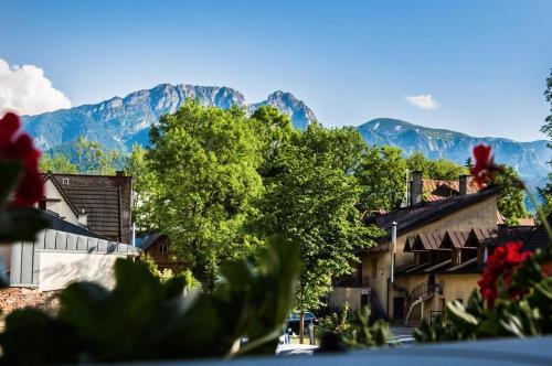 Willa Arkadia — Zakopane — photo 5
