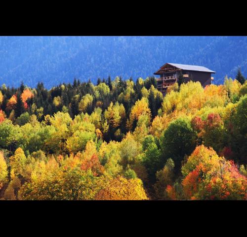 Kakhri Resort in Mest'ia, Georgia