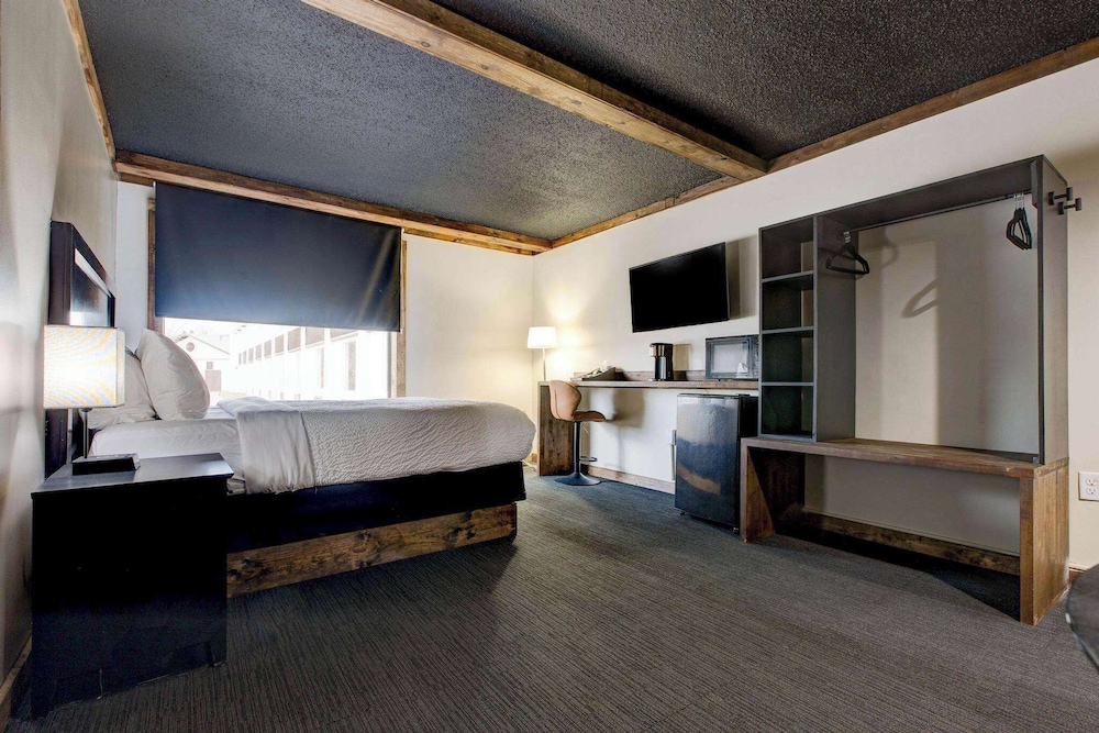 Hotel LEX Trademark Collection by Wyndham - photo 24