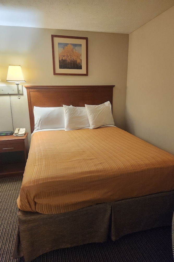 Royal Motel - photo 22
