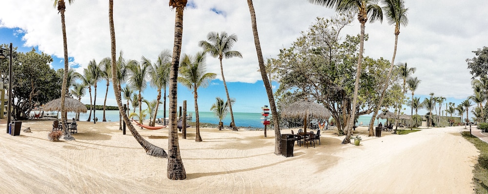 Lime Tree Bay Resort - photo 99