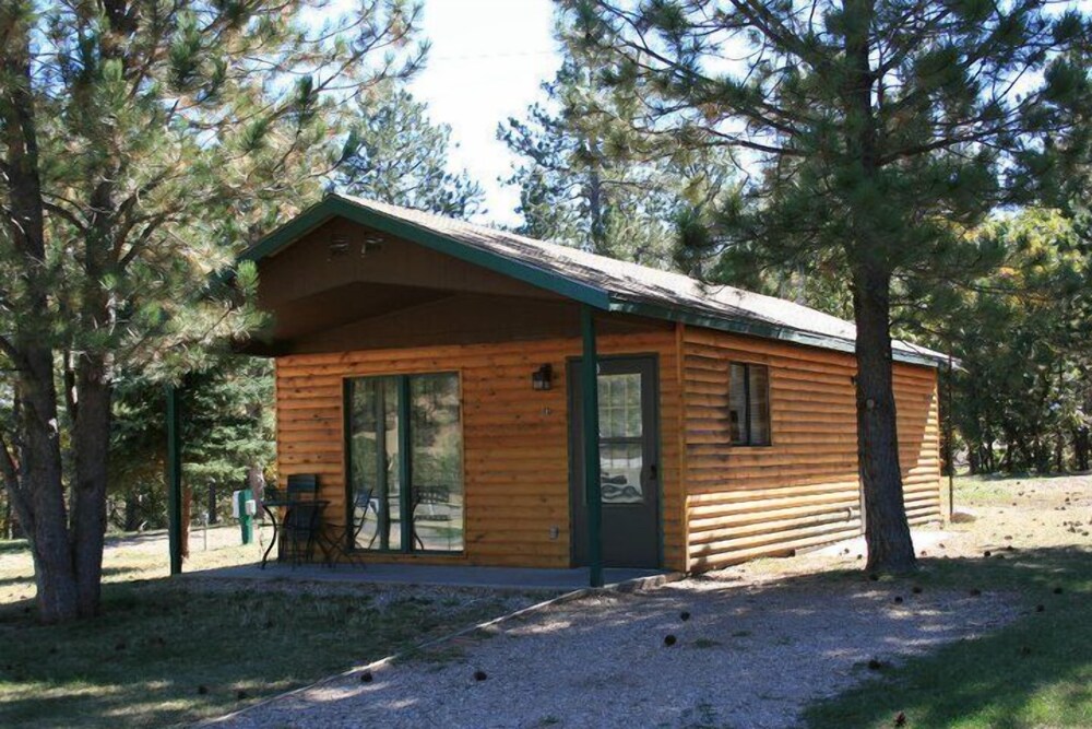 Rush No More RV Resort and Cabins Campground - photo 25
