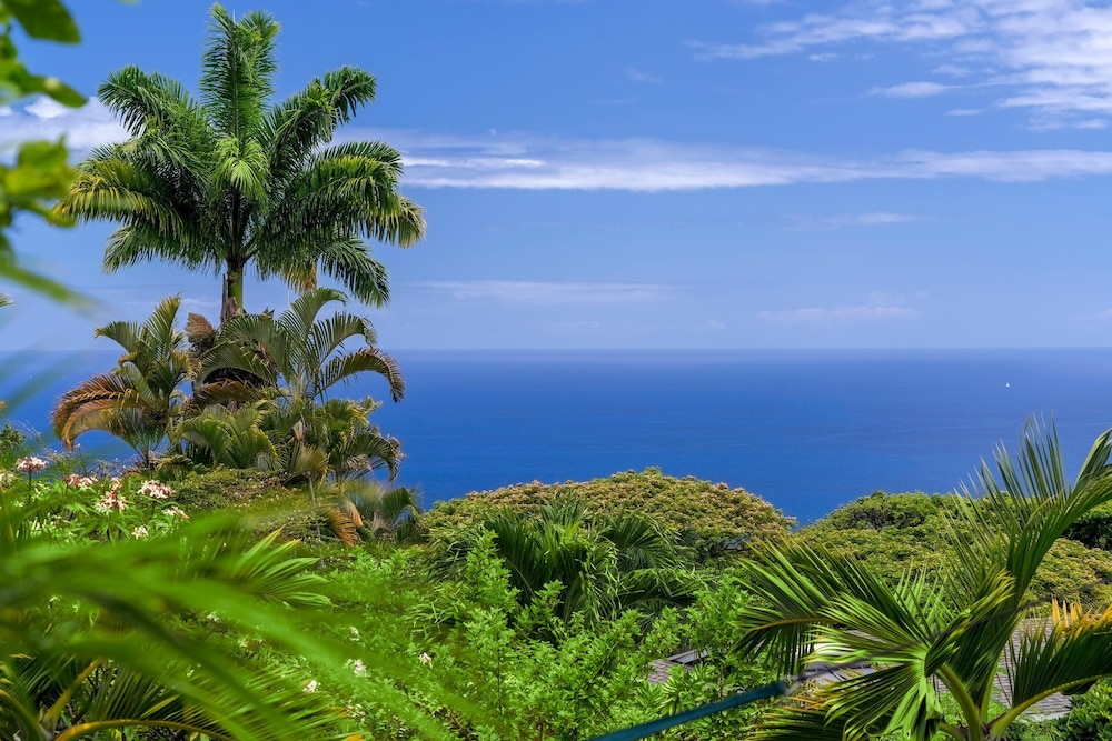 Koana Breeze - featured photo