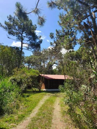 Doha paraíso mar y bosque in Unknown City, Uruguay