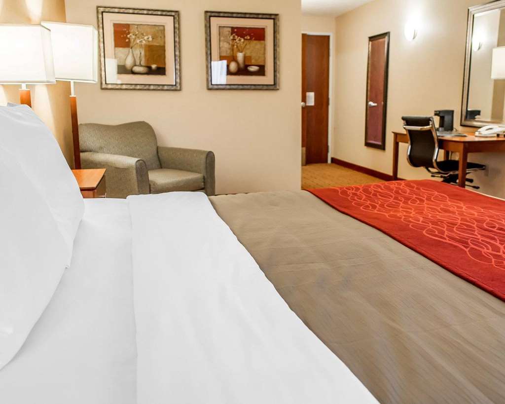 Comfort Inn & Suites Franklin East - photo 9