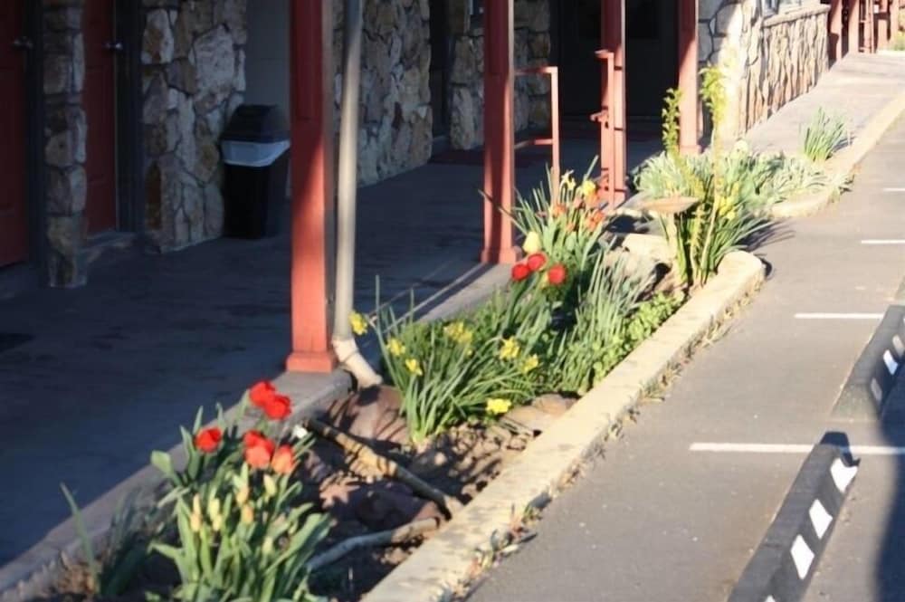 Rugged Country Lodge - photo 36