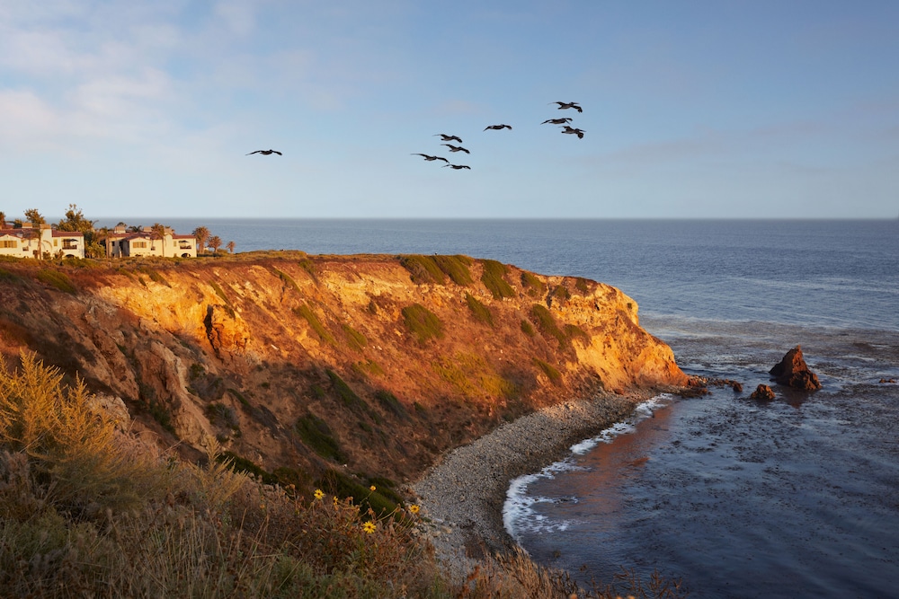 Terranea Resort - photo 40