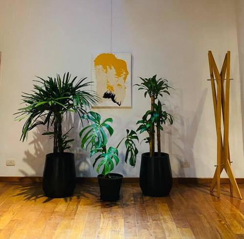 Arts Loft a estrenar Buenos Aires — 4-Star Luxury Hotel in Buenos Aires, Argentina