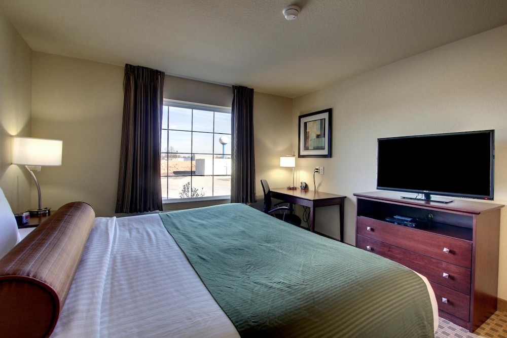 Cobblestone Inn & Suites Harvey - photo 16