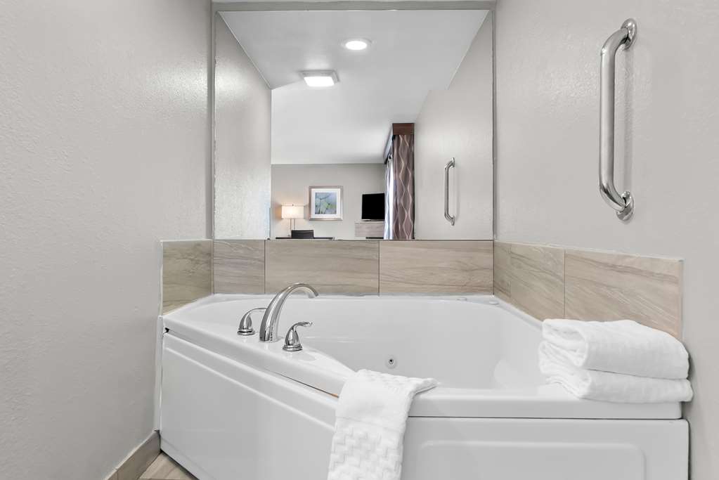 Best Western Plus Flint Airport Inn & Suites - photo 28