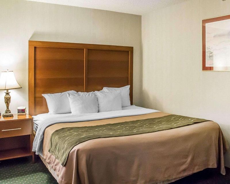 Comfort Inn Manistique MI - photo 24