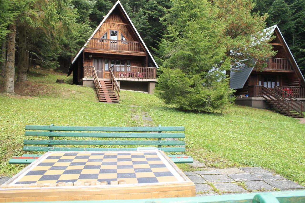 Ow Wisan in Baligrod, Poland