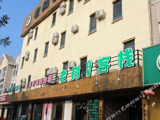 Suning Old tree Inn - last minute hotel in Cangzhou