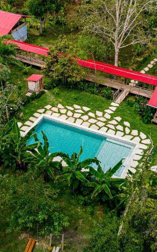 PuraChata Ecolodge in Iquitos, Peru