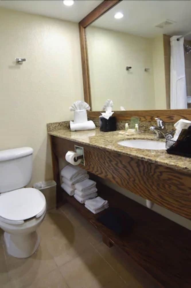 Holiday Inn Fort Myers Downtown Area by IHG - photo 17