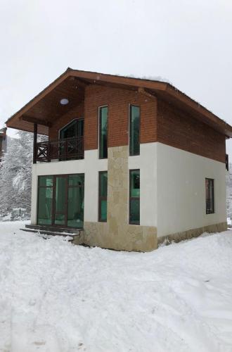 Cottage in Bakuriani