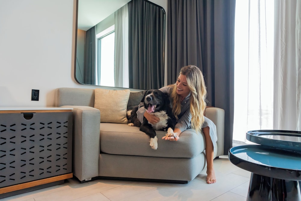 Pet-friendly