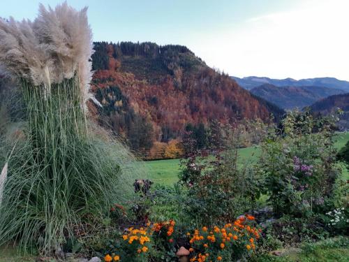 Biobauernhof Poidlbauer in Goestling An Der Ybbs, Austria