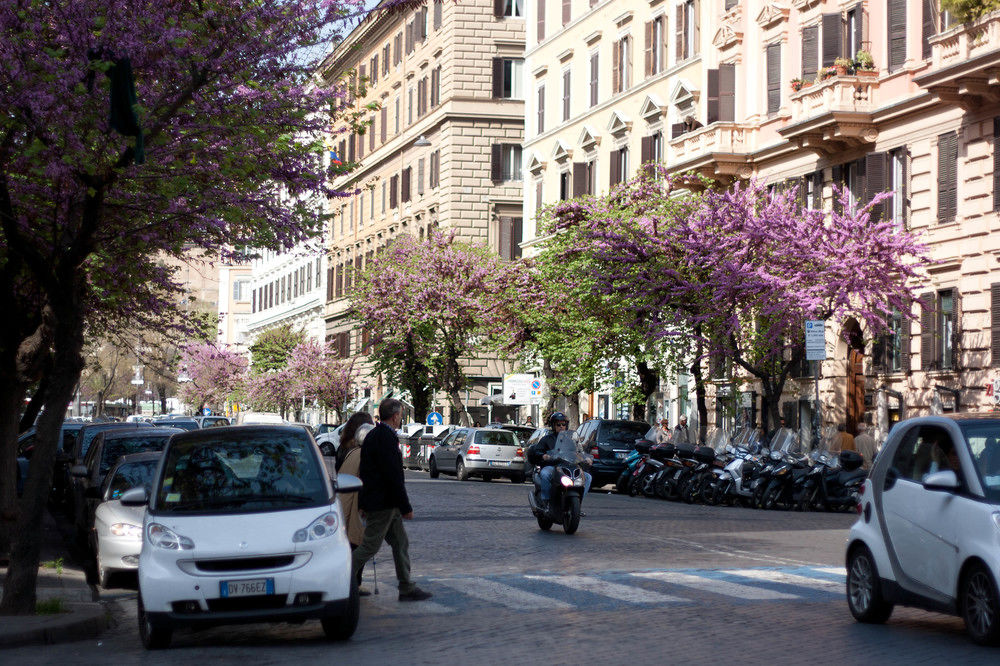 Penta Luxury House — 4-Star Luxury Hotel in Rome, Italy