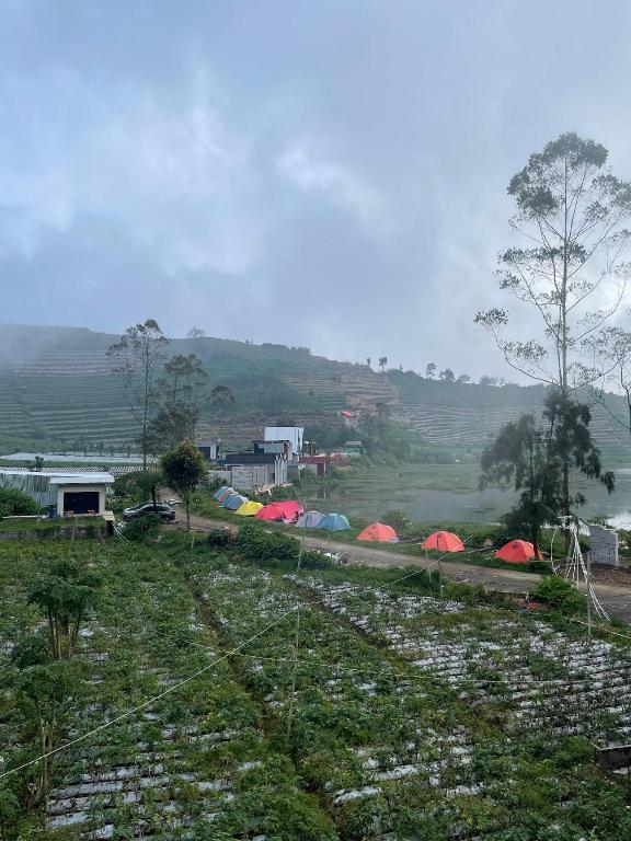 Haura Guesthouse Dieng — Wonosobo — photo 3