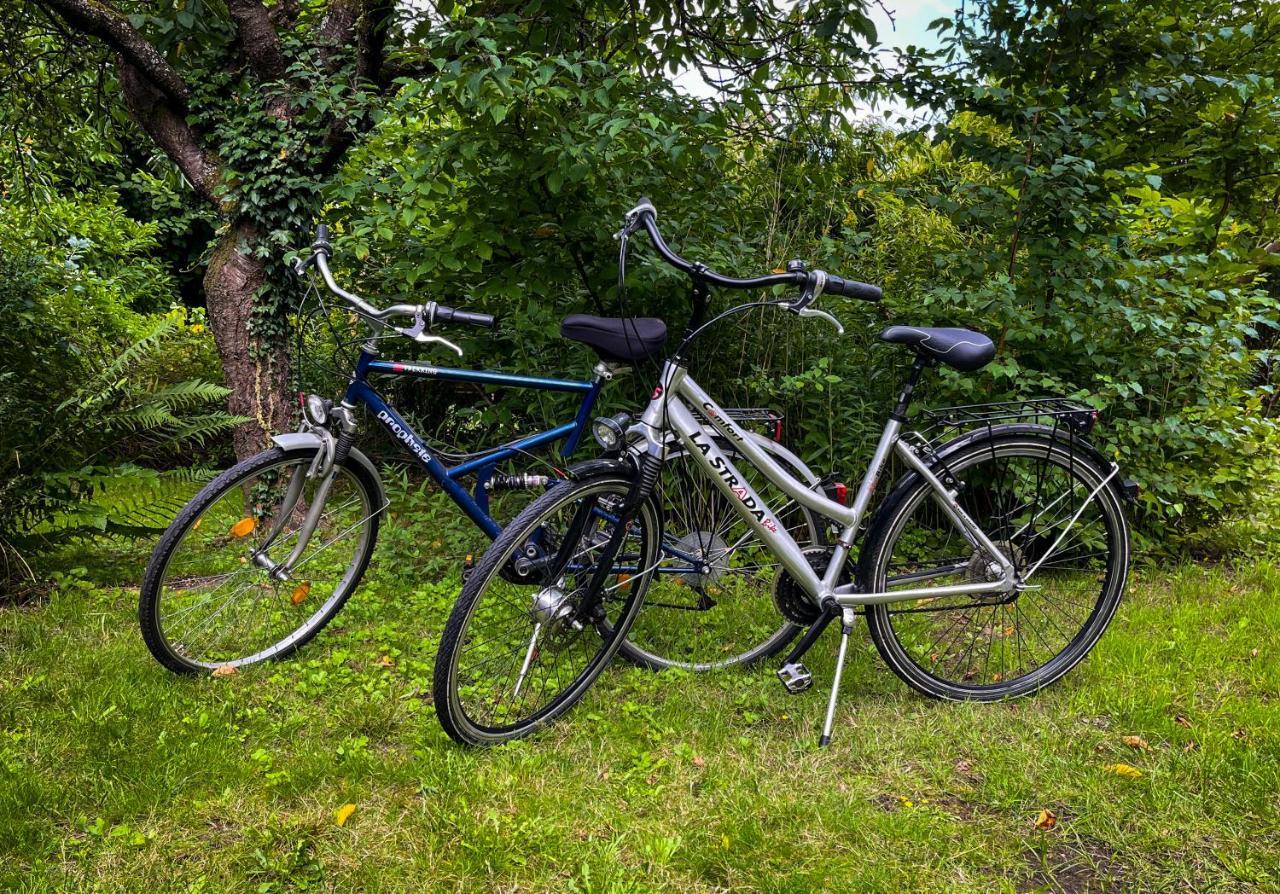 Ferienwohnung Hitzacker Elbe — Hitzacker — photo 2