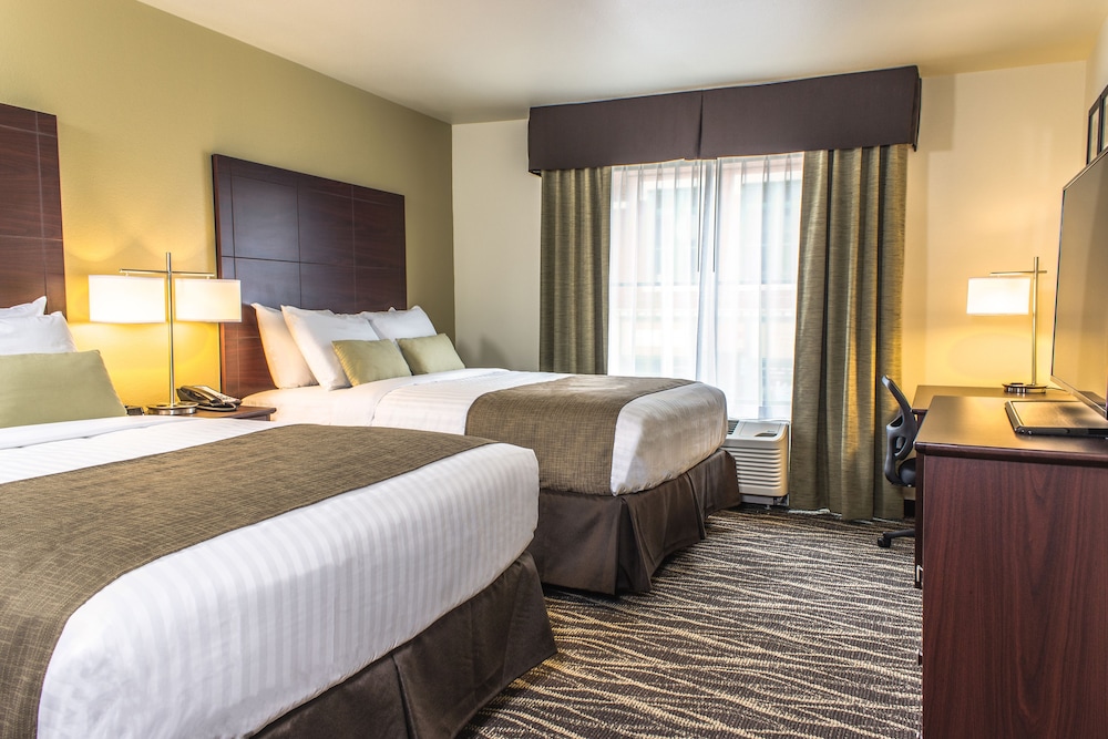 Cobblestone Hotel & Suites Stevens Point - photo 7