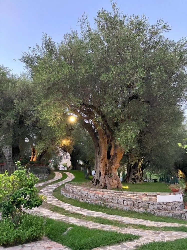 Pie' d'Ulivo — hotel in San Giovanni A Piro