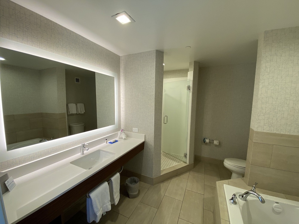 Holiday Inn Express Hotel & Suites El Dorado Hills - photo 56