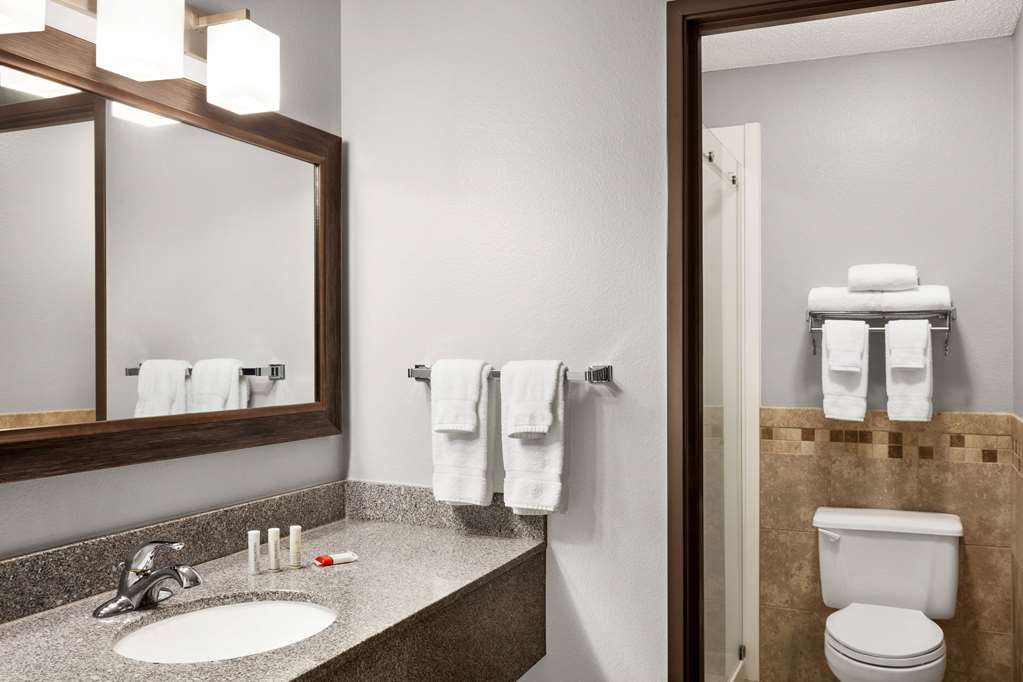 AmericInn by Wyndham Sauk Centre - photo 28