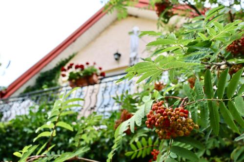 Tawerna Murena - last minute hotel in Unknown City