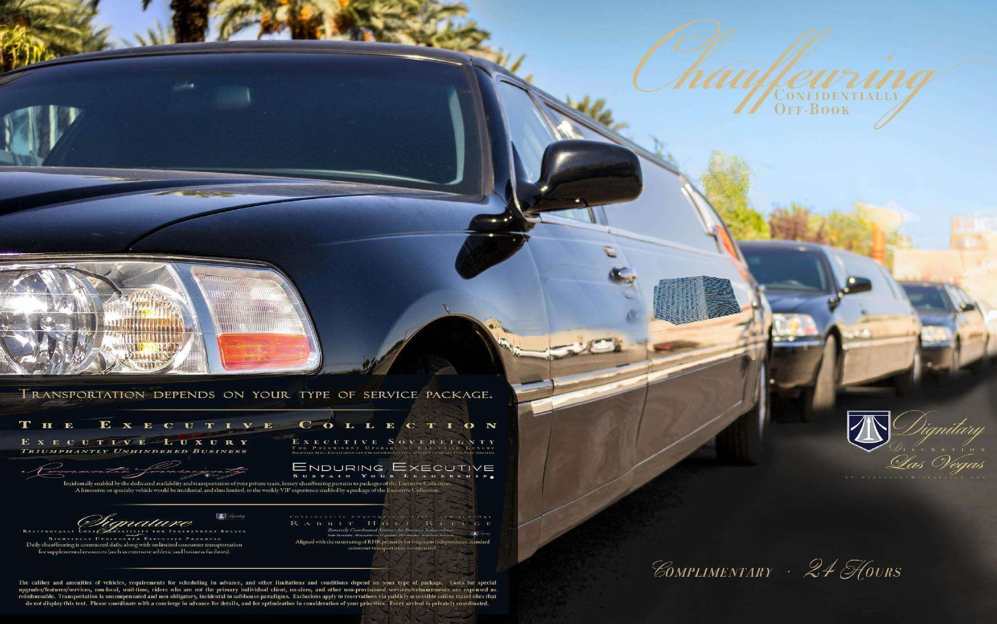 Dignitary Discretion Las Vegas - photo 15