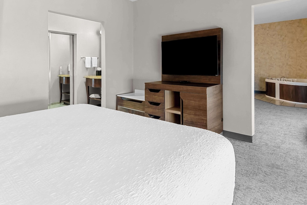 Hampton Inn & Suites Abilene I 20 - photo 18