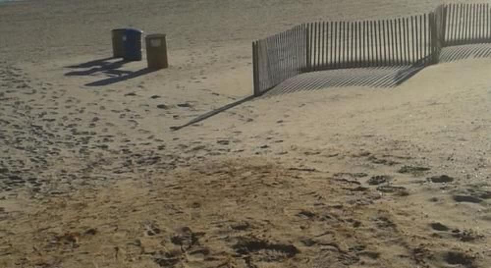 Ocean City Mansion - photo 32