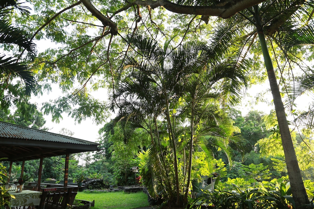 Hale Maluhia Country Inn - photo 4
