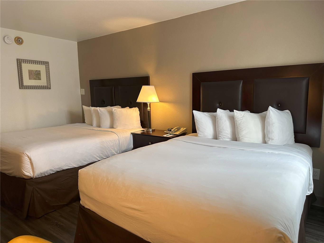 Quality Inn & Suites Everett - photo 25