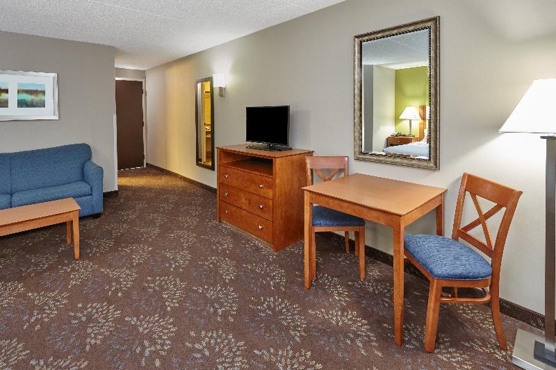 Holiday Inn Chicago Matteson Conference Center - photo 13