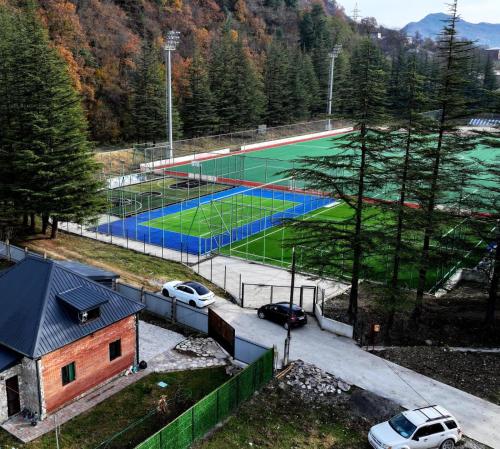 Woodstar ტყის ვარსკვლავი — Ambrolauri — photo 5