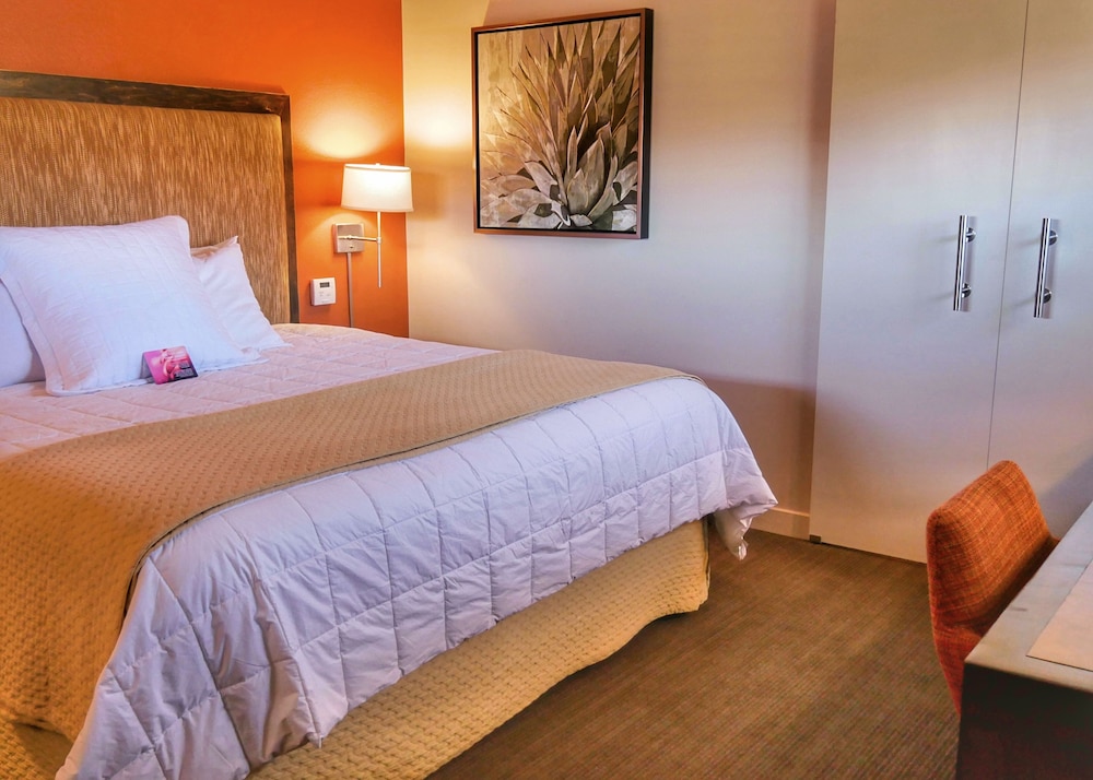 Red Mountain Resort - photo 15