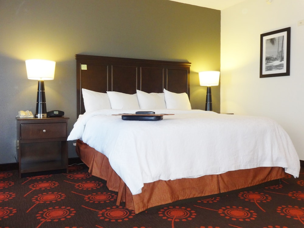 Hampton Inn & Suites Port St. Lucie West - photo 5