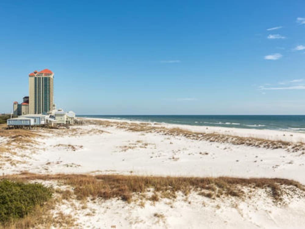 Summer Salt by Youngs Suncoast VR - photo 17