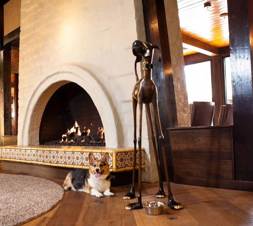 The Garland - photo 3