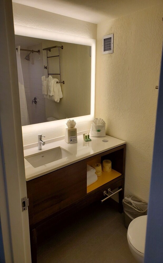Holiday Inn Miami International Airport by IHG - photo 6