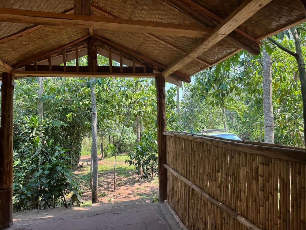 Little Monkey Camp 19774143 — Kibale
