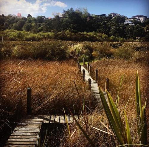Uniqueness in Tauranga, New Zealand