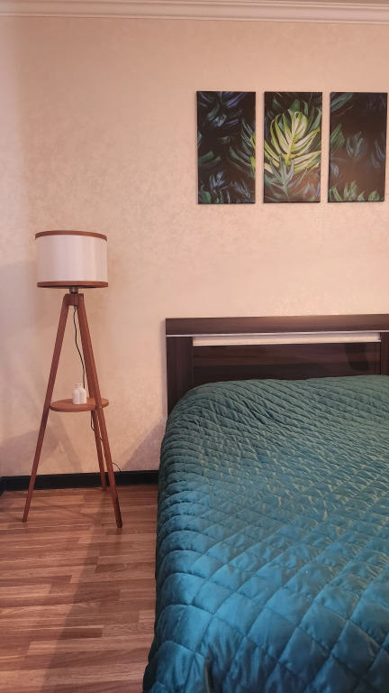 Garmoniya Novokosino Flat in Reutov, Russia