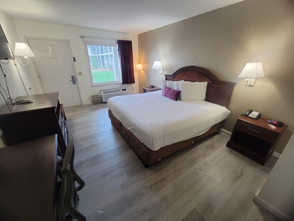Elk Inn - photo 3