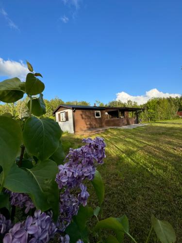 Bäckagården self catering självhushåll — Skoevde — photo 2