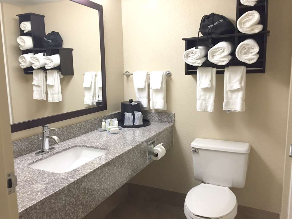 Best Western Plus Birmingham Inn & Suites - photo 16