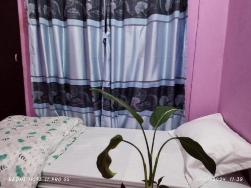 Homestay In Baglung Bazar Baglung Homestay 20164288 — Baglung