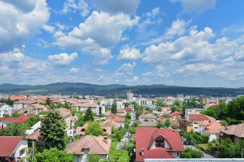 Hotel Panoramic — hotel in Ramnicu Valcea